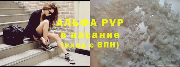 стаф Алзамай