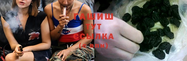стаф Алзамай