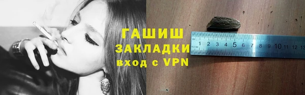 стаф Алзамай