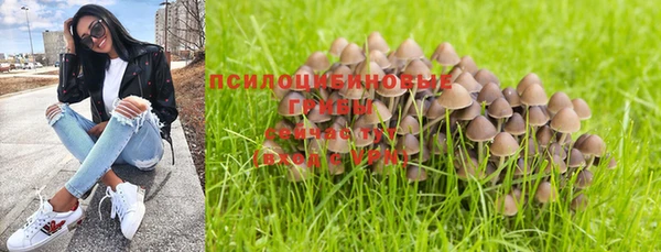 spice Алексин