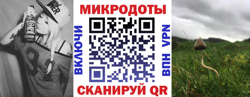 Псилоцибиновые грибы GOLDEN TEACHER  Нефтекамск 