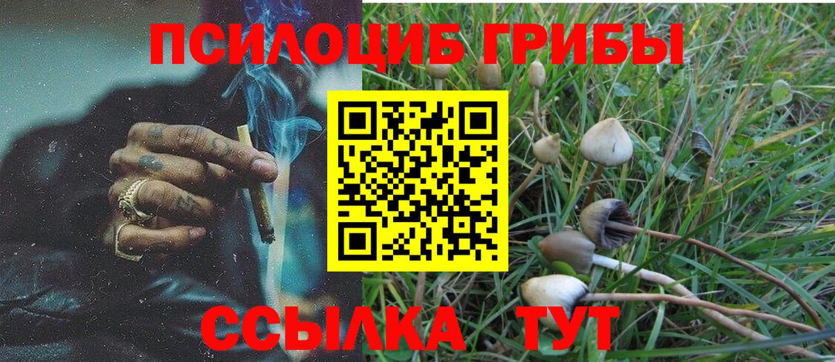 Галлюциногенные грибы Cubensis  Вход с VPN  даркнет сайт  Нефтекамск 